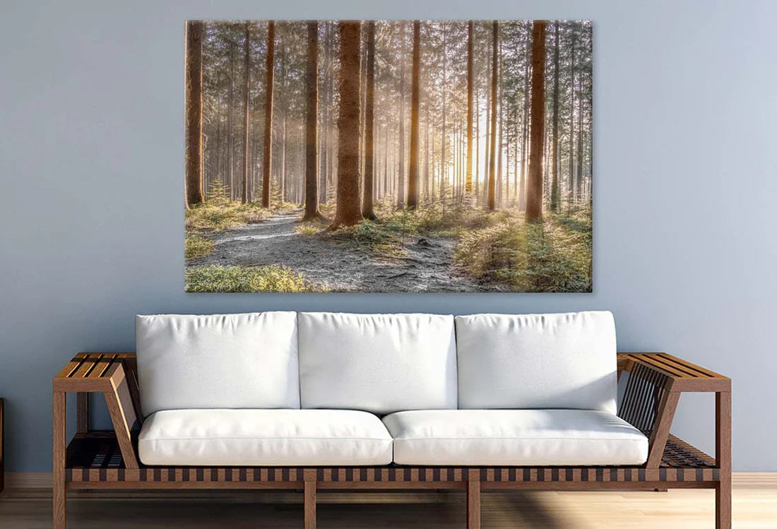 Forest with Shining Sun Rays 90x60cm Print 100% Australian Made - Bella Home Decor