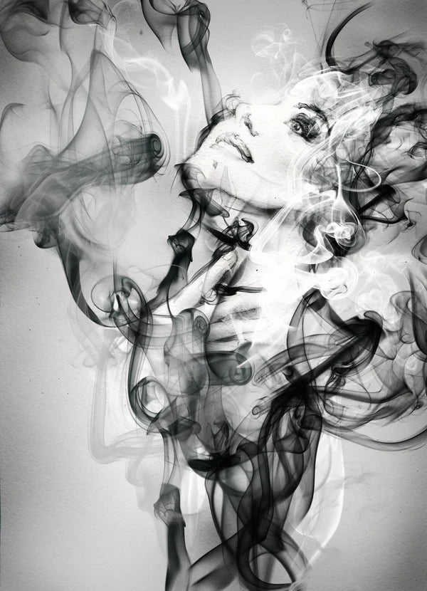 Lady Smoke Art Abstract 60x90cm Print 100% Australian Made - Bella Home Decor