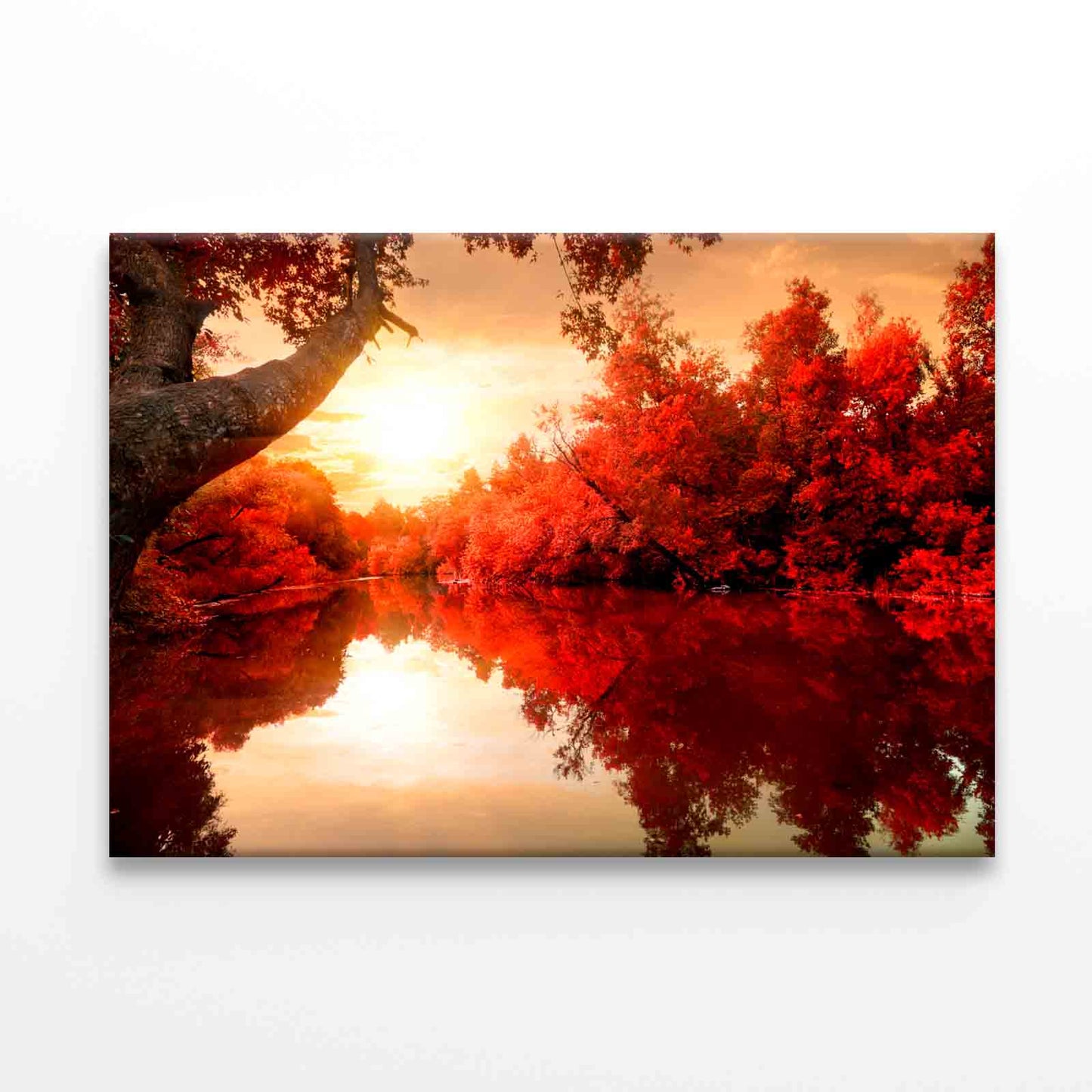 Red Leaves on Trees, Autumn River Wall Art Decor 100% Australian Made