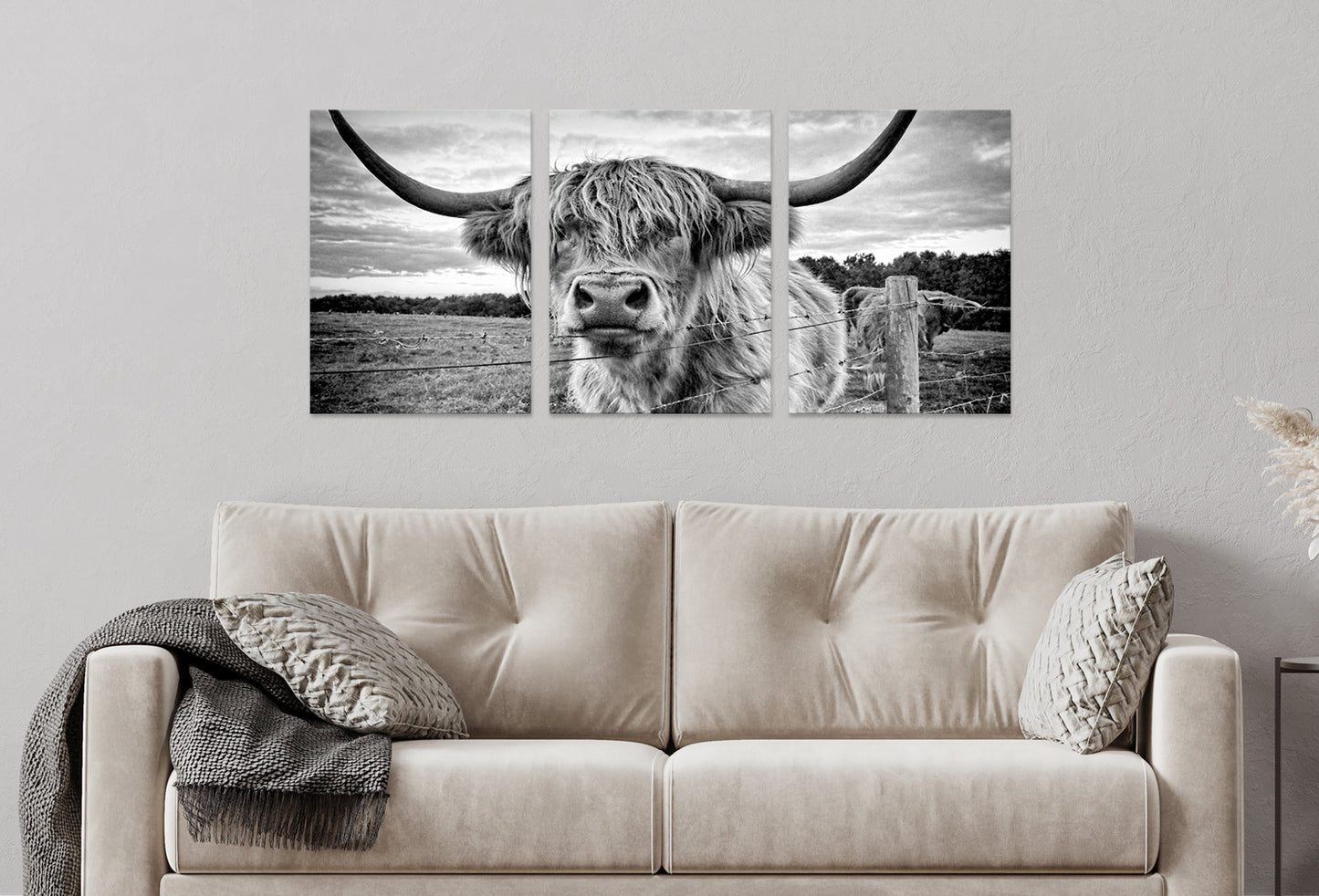 3pcs Highland Cow Black and White Closeup Wall Art Set Canvas Framed 40x60cm - High Quality Print 100% Australian Made Wall Canvas Ready to Hang