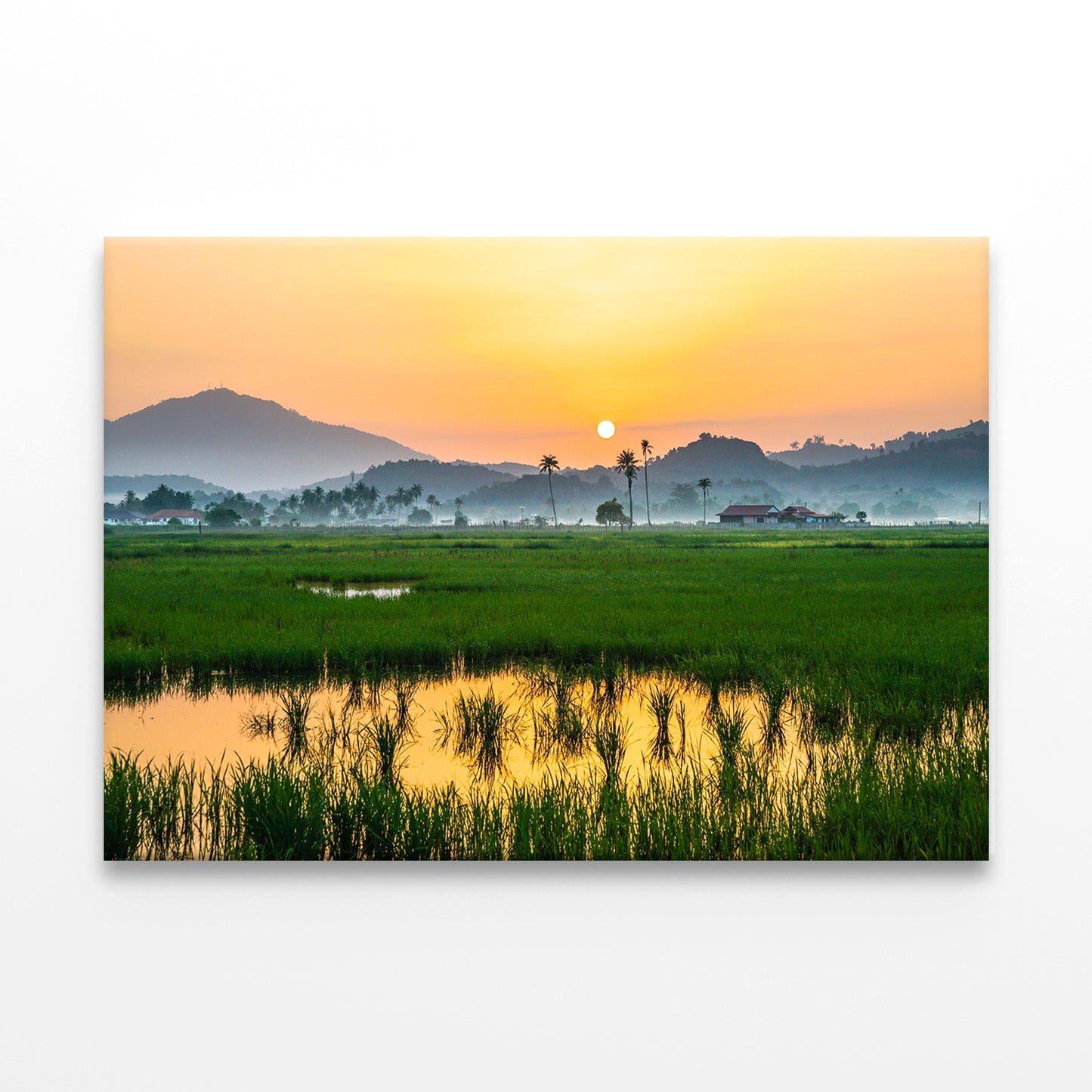 Countryside scenery in Malaysia Wall Art Decor 100% Australian Made