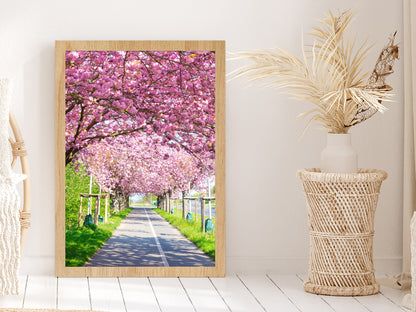 Blooming Pink Cherry Trees Spring Glass Framed Wall Art, Ready to Hang Quality Print Without White Border Oak
