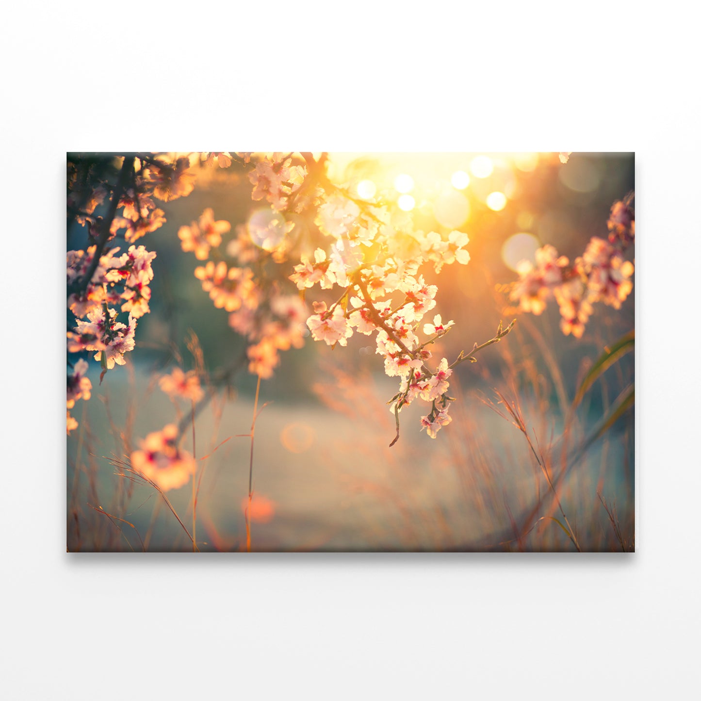Spring Blossom with Sun Flares Wall Art Decor 100% Australian Made