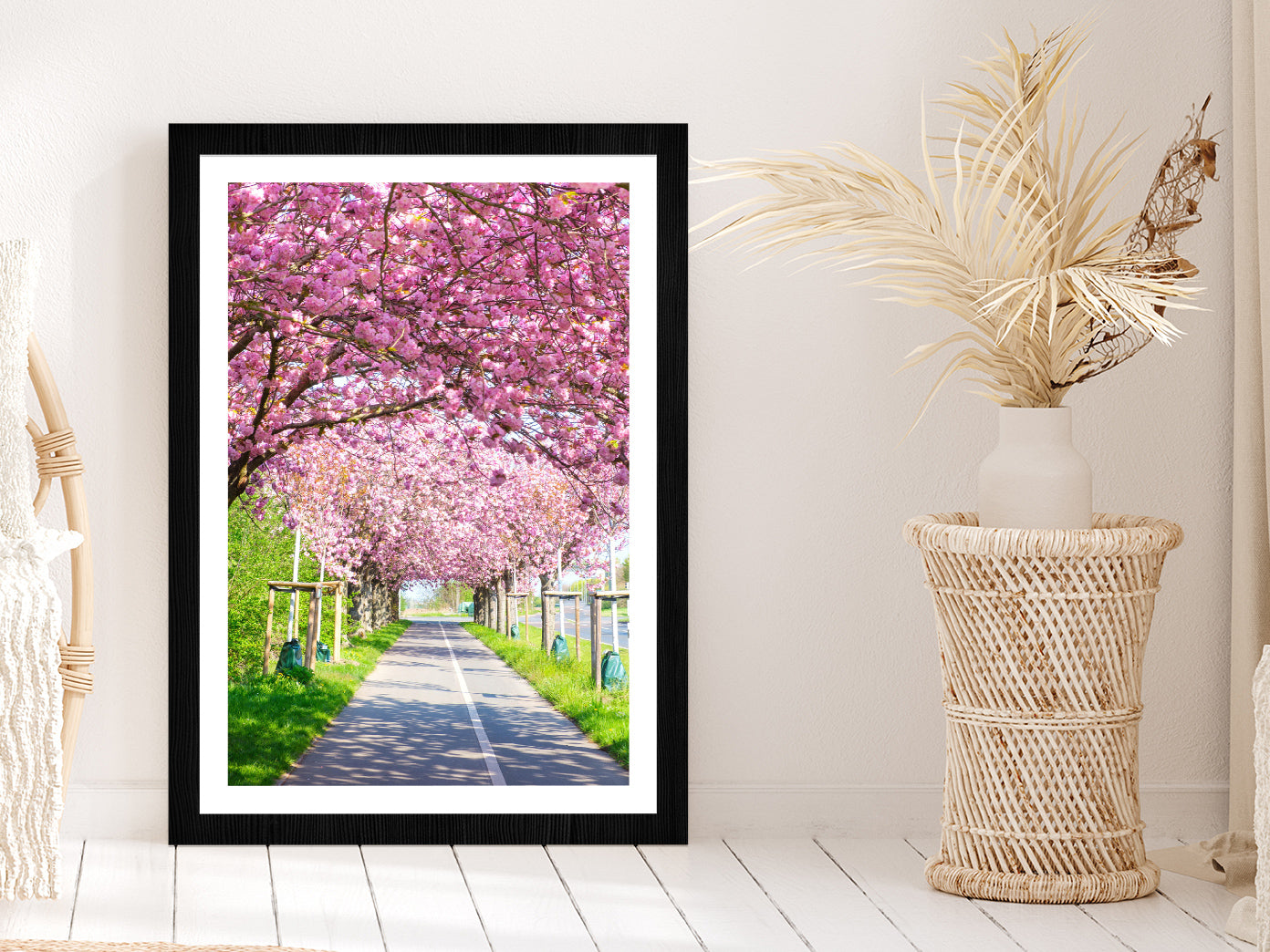 Blooming Pink Cherry Trees Spring Glass Framed Wall Art, Ready to Hang Quality Print With White Border Black