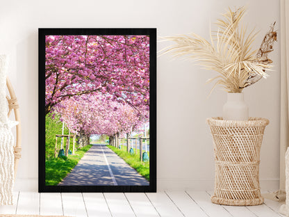Blooming Pink Cherry Trees Spring Glass Framed Wall Art, Ready to Hang Quality Print Without White Border Black