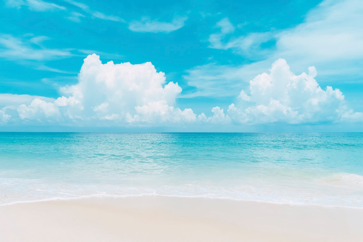 Beautiful Tropical Beach with Blue Sky 90x60cm Print 100% Australian Made - Bella Home Decor