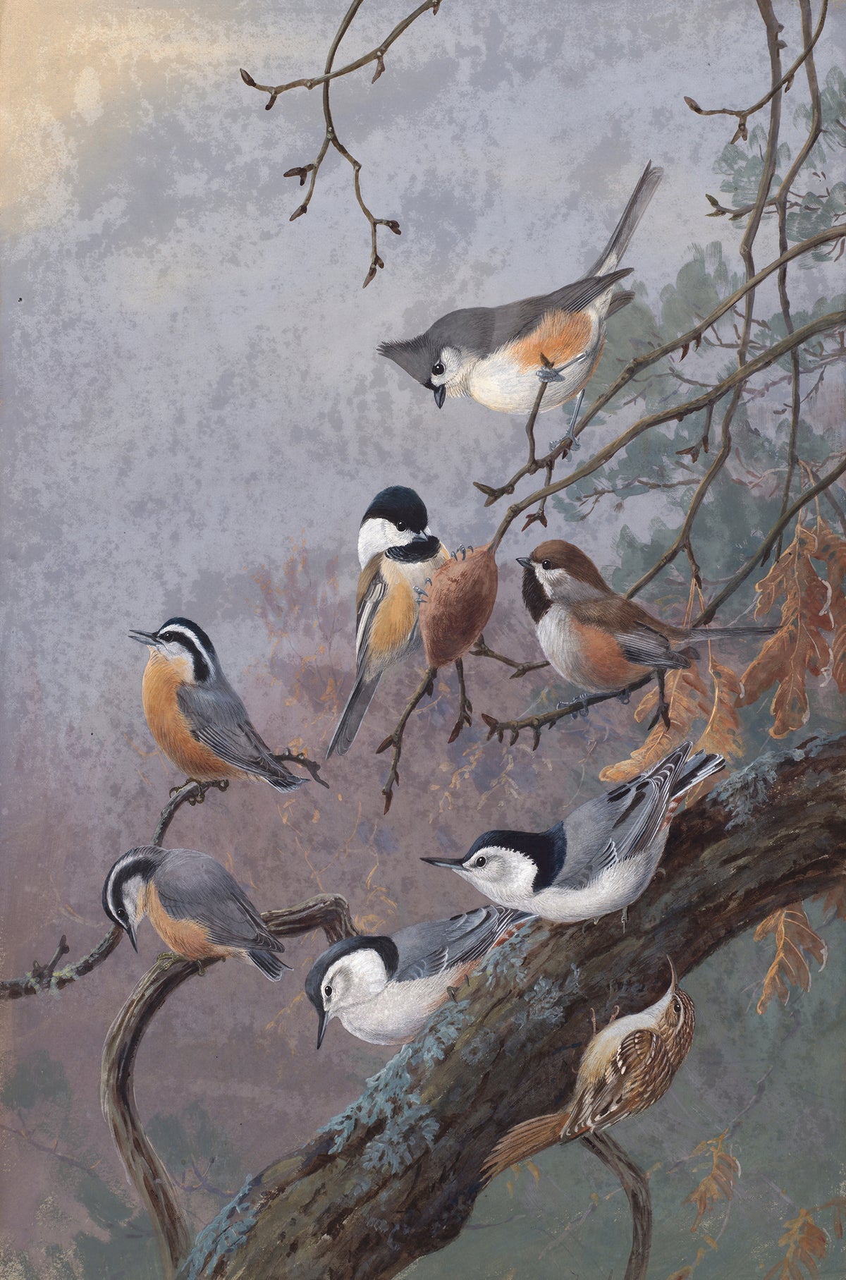 Winter Birds Wildlife Painting 40x60cm Metal Print Ready to Hang