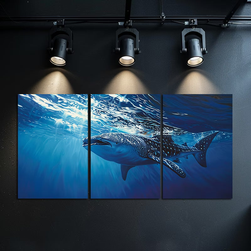 3pcs Whale Shark Gliding Through Deep Blue Ocean Wall Art Set Canvas Framed 50x70cm - High Quality Print 100% Australian Made Wall Canvas Ready to Hang