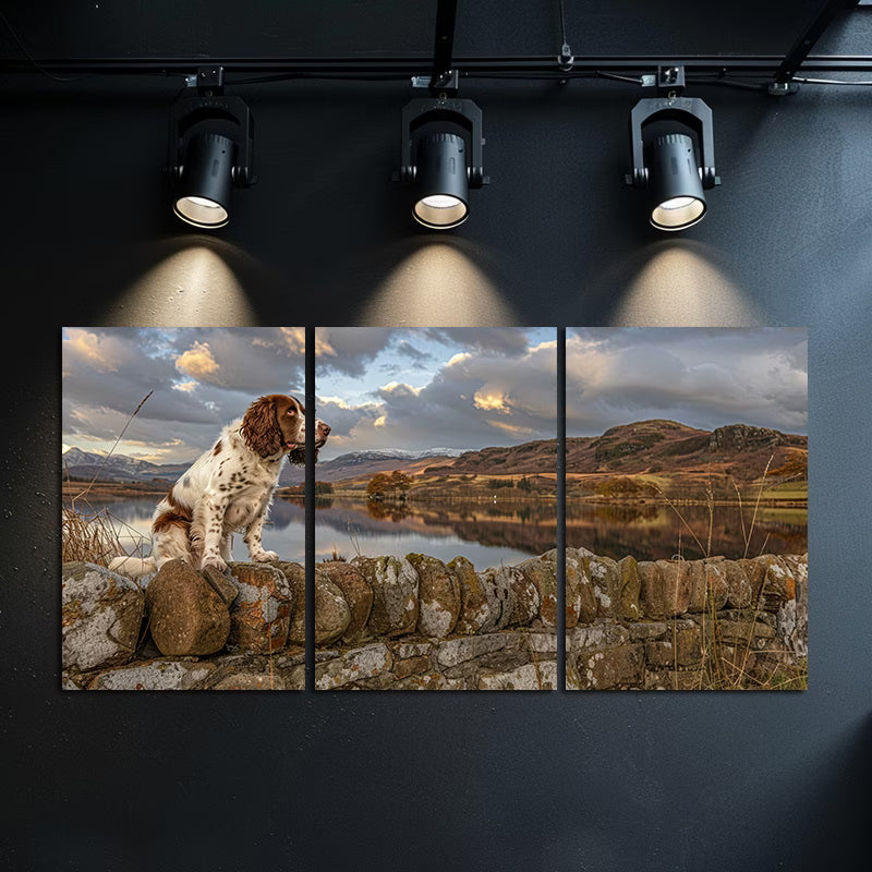 3pcs Irish Springer Spaniel Dog Landscape Wall Art Set Canvas Framed 60x90cm - High Quality Print 100% Australian Made Wall Canvas Ready to Hang