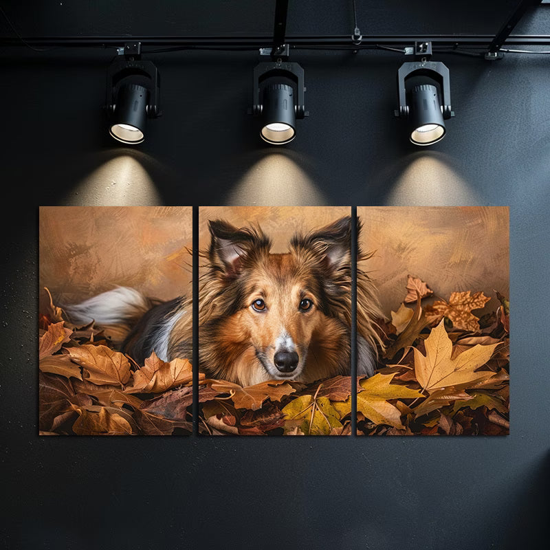3pcs Shetland Sheepdog & Autumn Leaves Wall Art Set Canvas Framed 50x70cm - High Quality Print 100% Australian Made Wall Canvas Ready to Hang