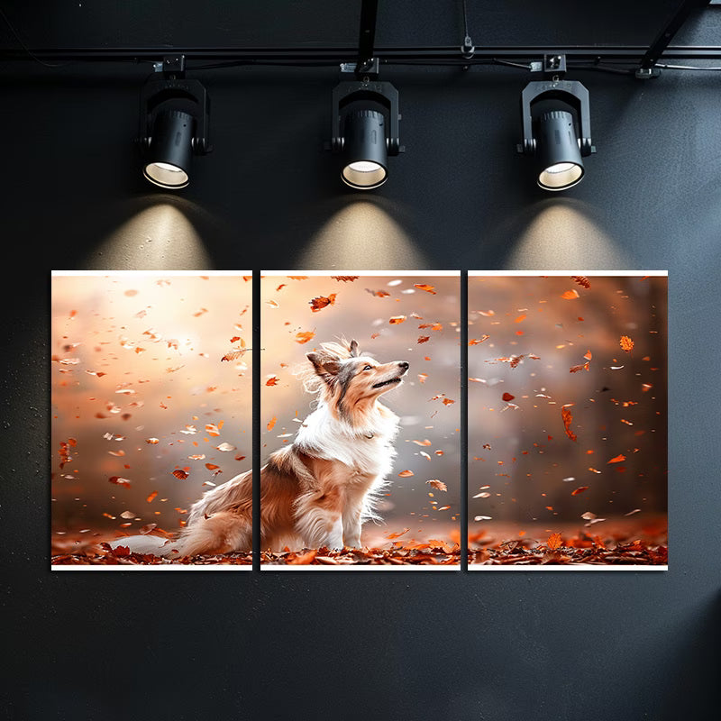 3pcs Shetland Sheepdog in Autumn Leaves Wall Art Set Canvas Framed 60x90cm - High Quality Print 100% Australian Made Wall Canvas Ready to Hang