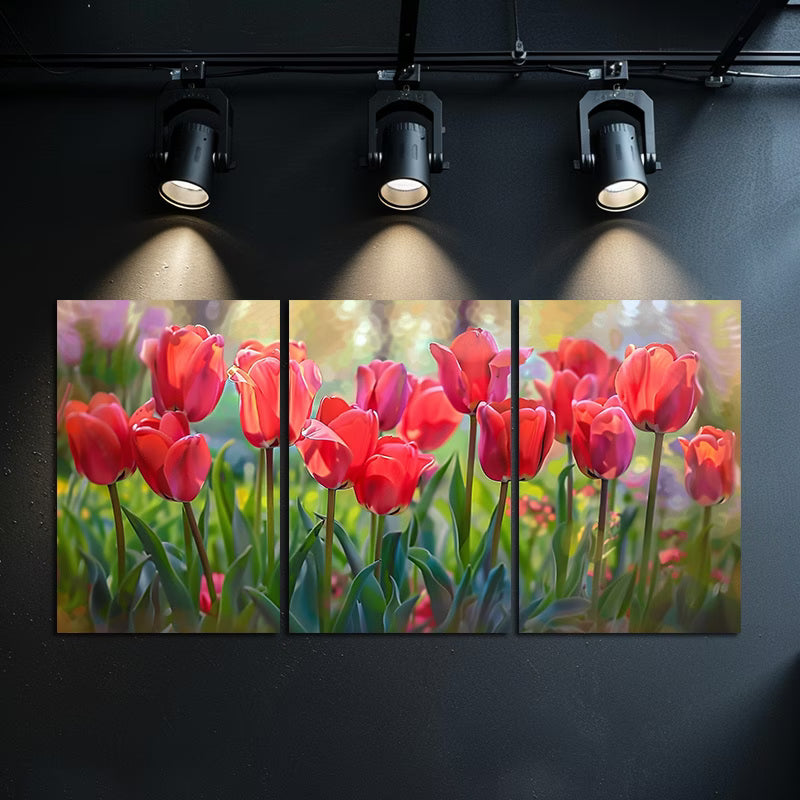 3pcs Vibrant Display of Red Tulips in Full Bloom Wall Art Set Canvas Framed 50x70cm - High Quality Print 100% Australian Made Wall Canvas Ready to Hang