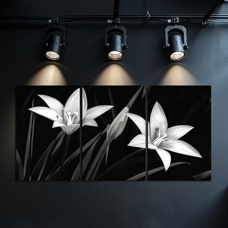3pcs Night Lilies in Black and White Wall Art Set Canvas Framed 60x90cm - High Quality Print 100% Australian Made Wall Canvas Ready to Hang