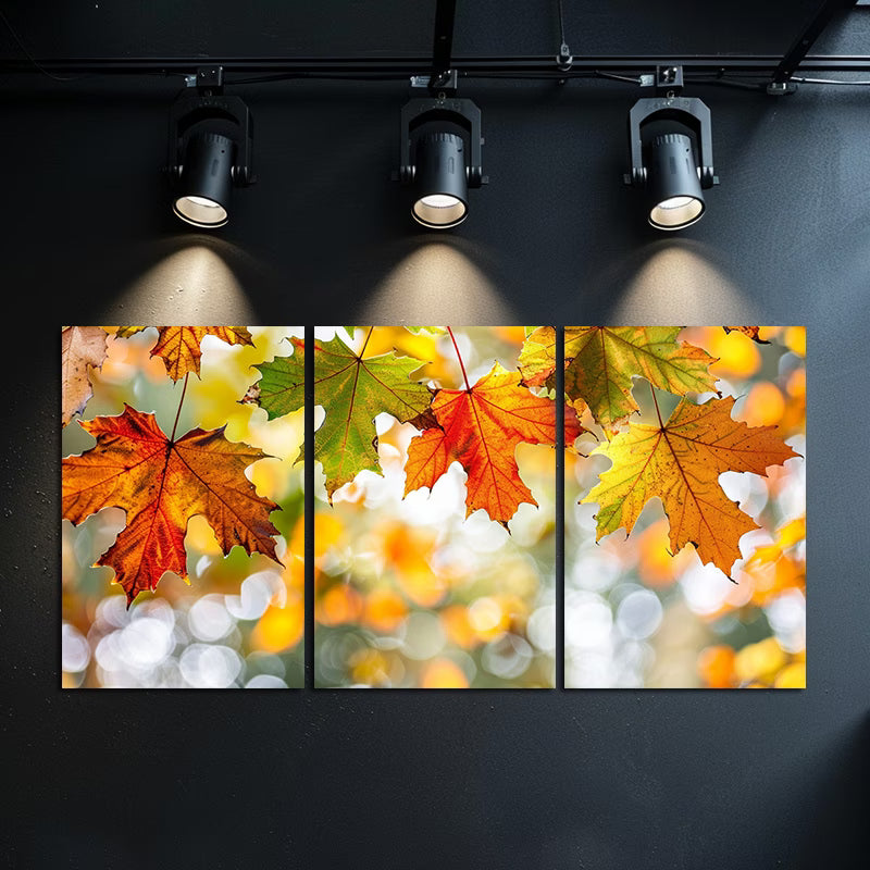 3pcs Autumn Leaves Illustration Wall Art Set Canvas Framed 40x60cm - High Quality Print 100% Australian Made Wall Canvas Ready to Hang