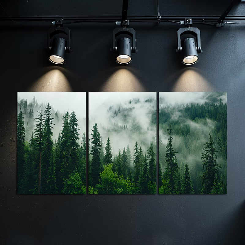 3pcs Mountain and Dark Green Pine Forest Scene Wall Art Set Canvas Framed 40x60cm - High Quality Print 100% Australian Made Wall Canvas Ready to Hang