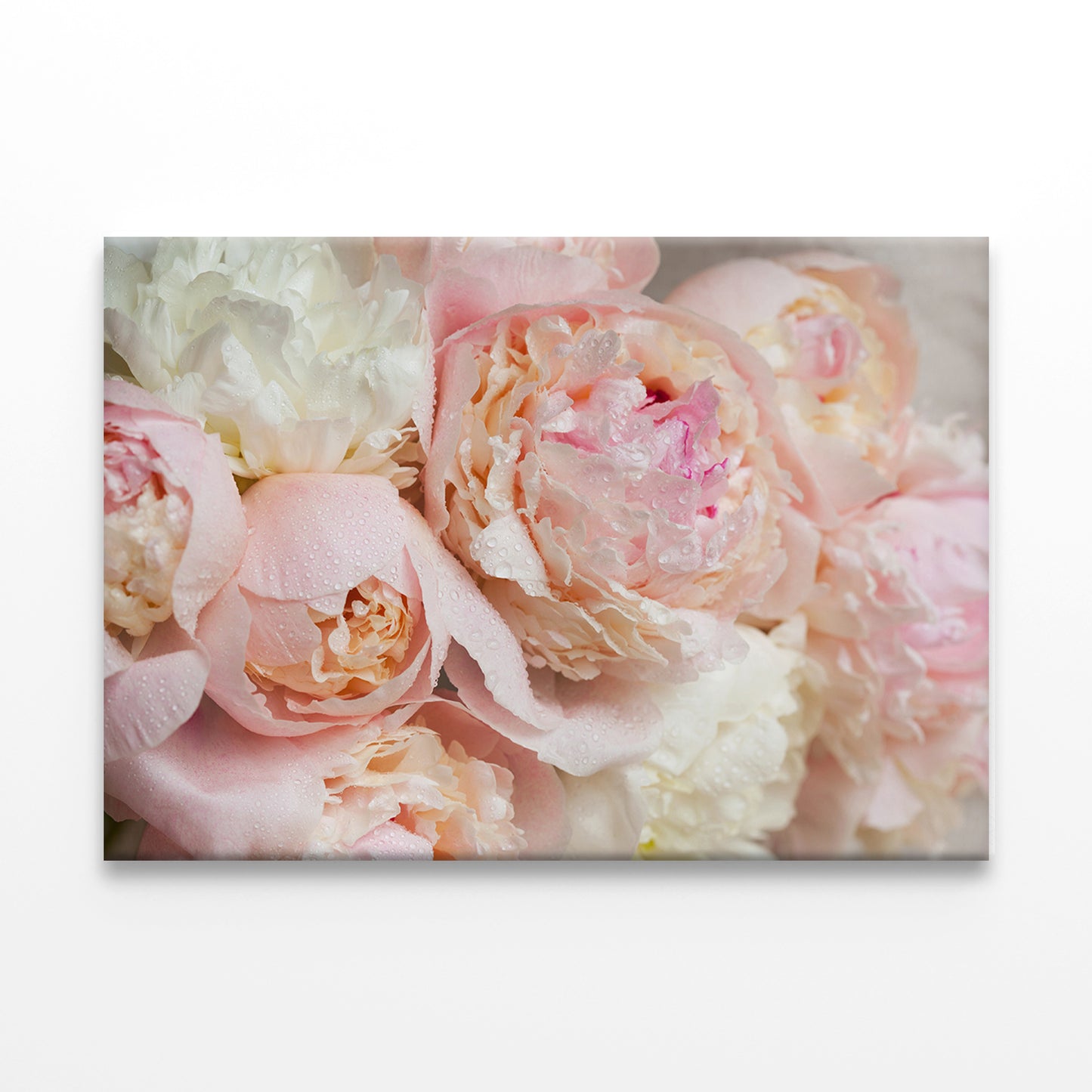 Pink Peonies Bouquet Close-Up Wall Art Decor 100% Australian Made