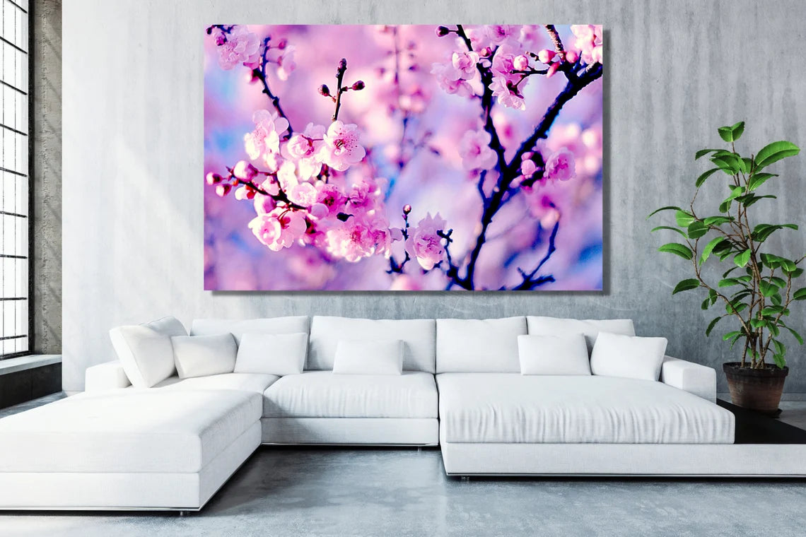 Purple Cherry Blossom Flower UV Direct Aluminum Print Australian Made Quality