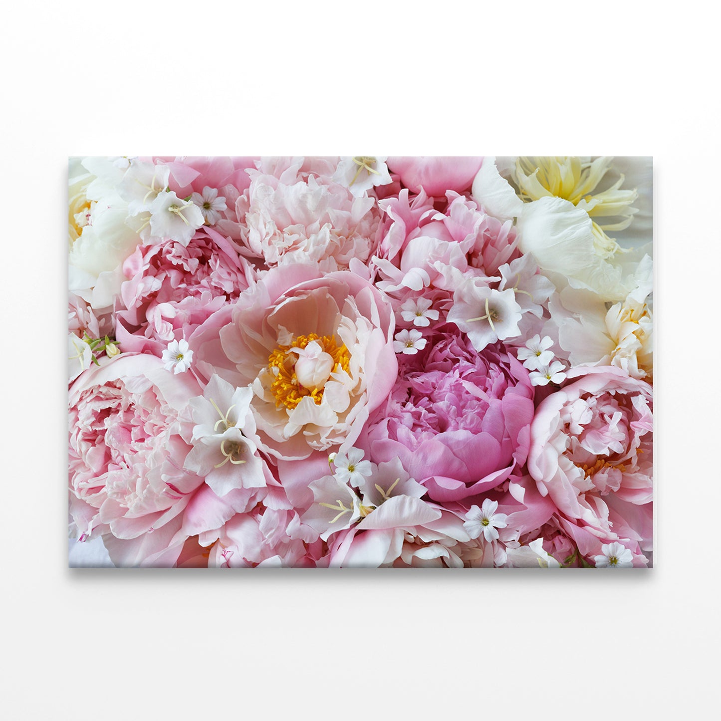 Pink and White Peonies Closeup Wall Art Decor 100% Australian Made