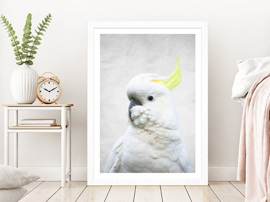 White Macaw Bird Faded Closuep Photograph Glass Framed Wall Art, Ready to Hang Quality Print With White Border White