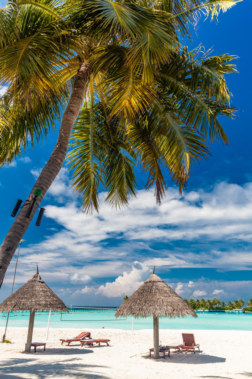 Palm Tree & Beach Huts in Tropical Beach Glass Framed Wall Art, Ready to Hang Quality Print