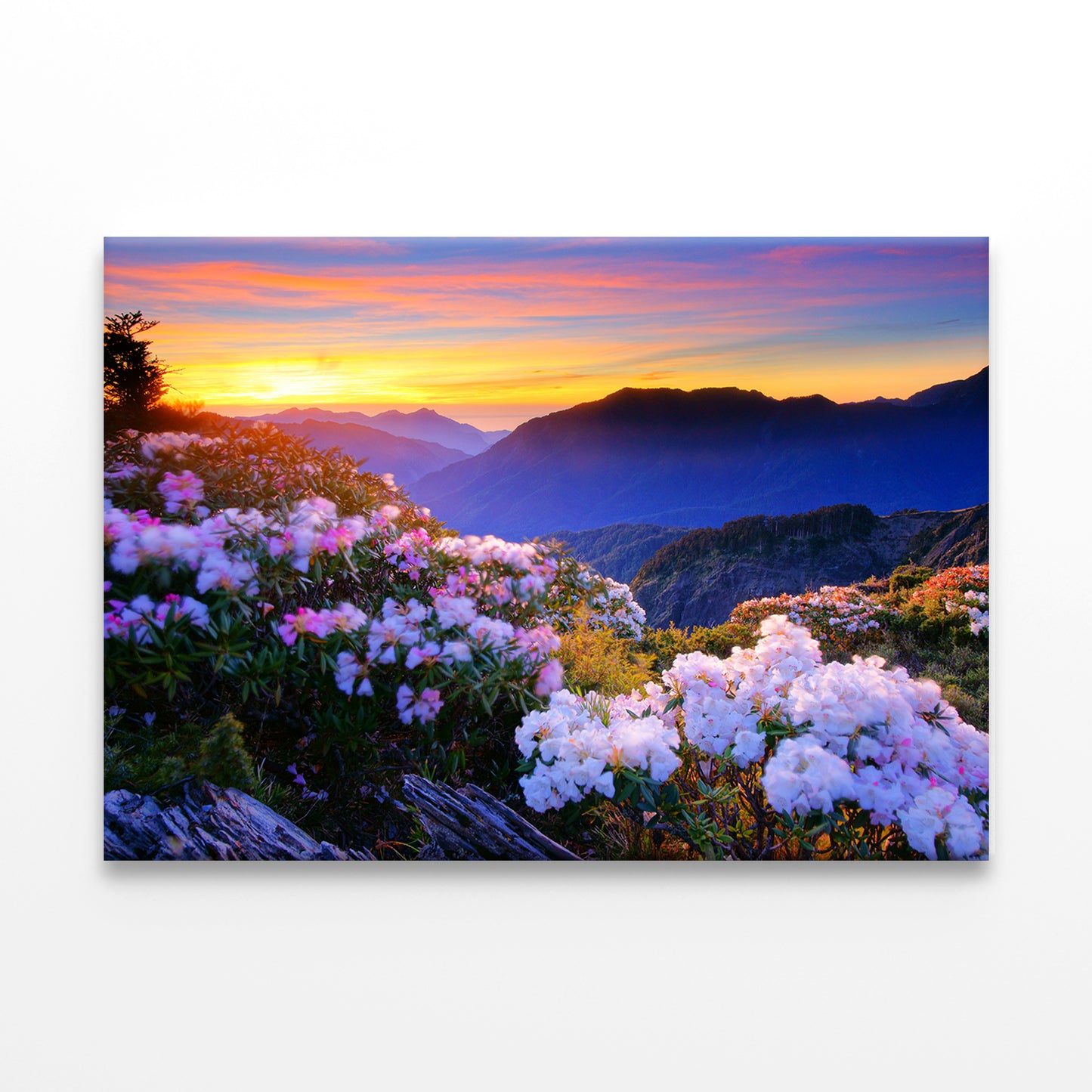 Spring Twilight on Hehuan Mountain Taiwan Wall Art Decor 100% Australian Made