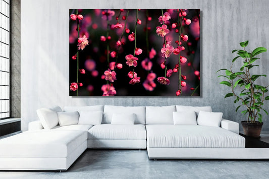 Cherry Blossom Flower UV Direct Aluminum Print Australian Made Quality