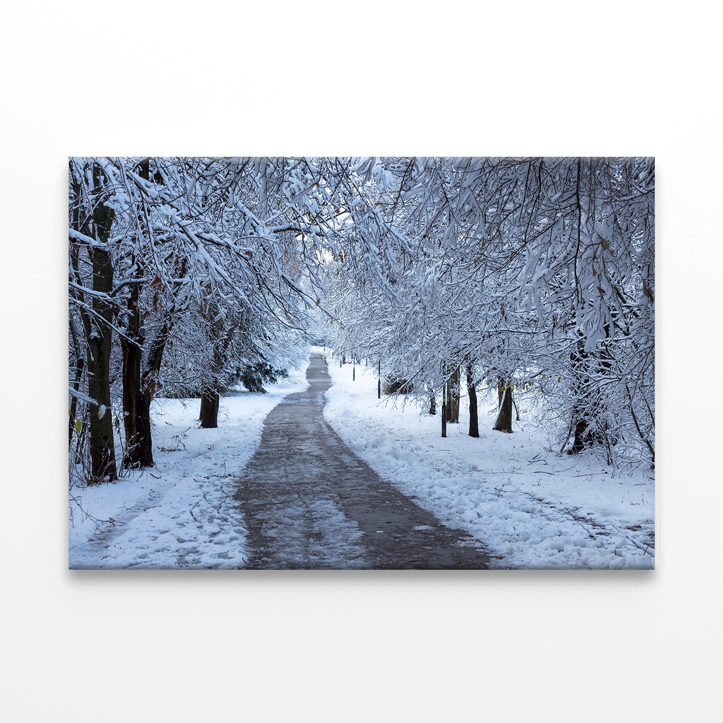 Winter Forest in South Park, Sofia Wall Art Decor 100% Australian Made