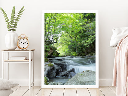 Rocky Riverside With Forest Glass Framed Wall Art, Ready to Hang Quality Print Without White Border White