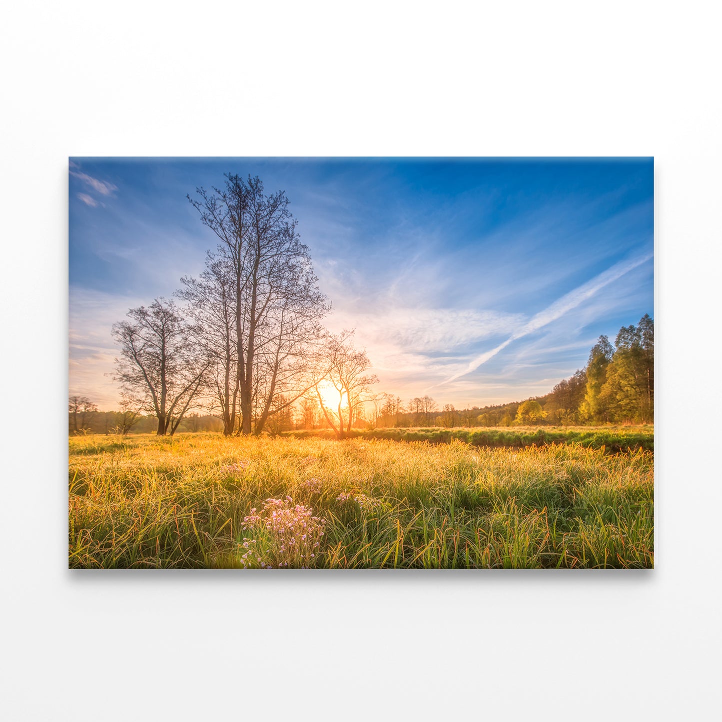 Spring Meadow at Sunrise Wall Art Decor 100% Australian Made