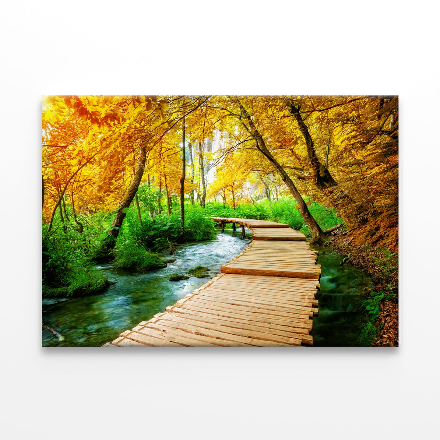 Wooden Trek Trail in Plitvice Wall Art Decor 100% Australian Made