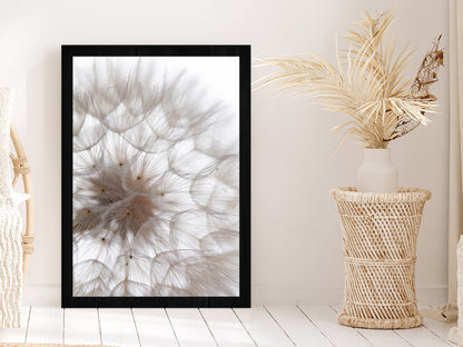 Dandelion Macro Flower Abstract Glass Framed Wall Art, Ready to Hang Quality Print Without White Border Black