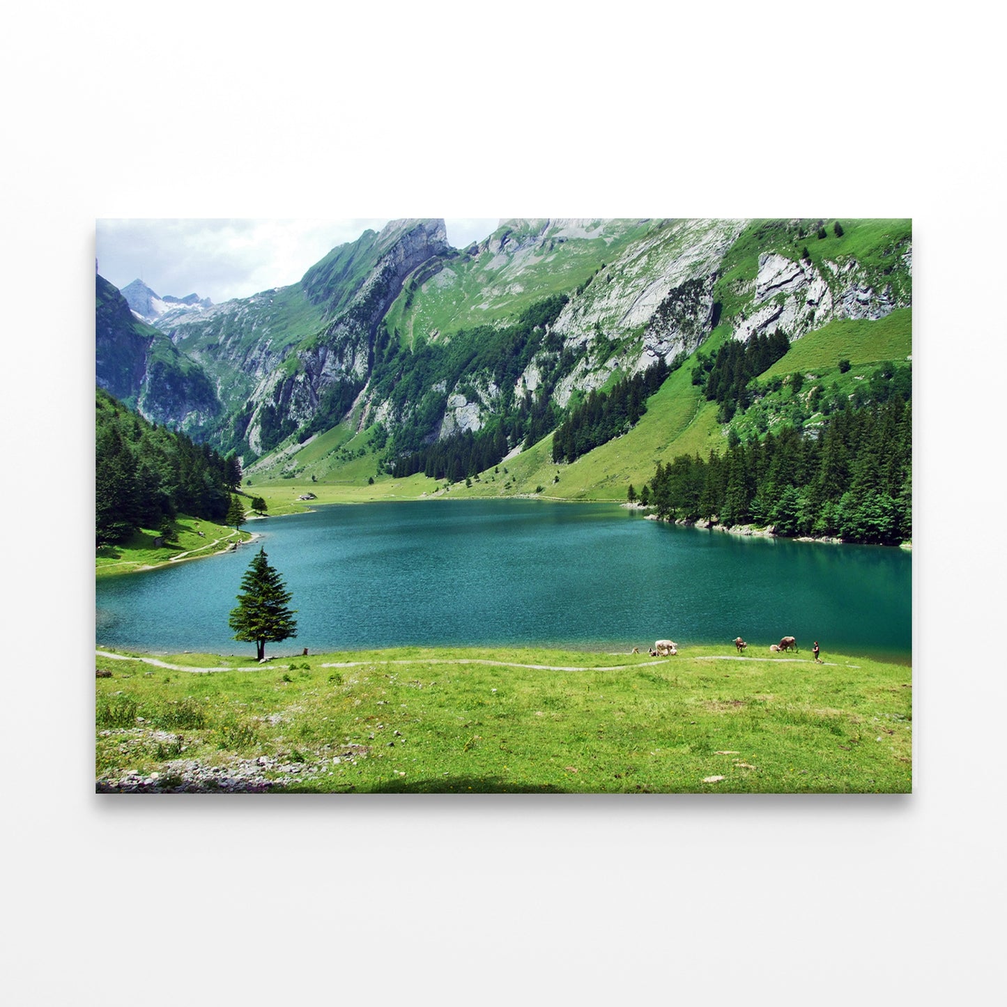 Seealpsee Lake, Appenzell, Swiss Wall Art Decor 100% Australian Made