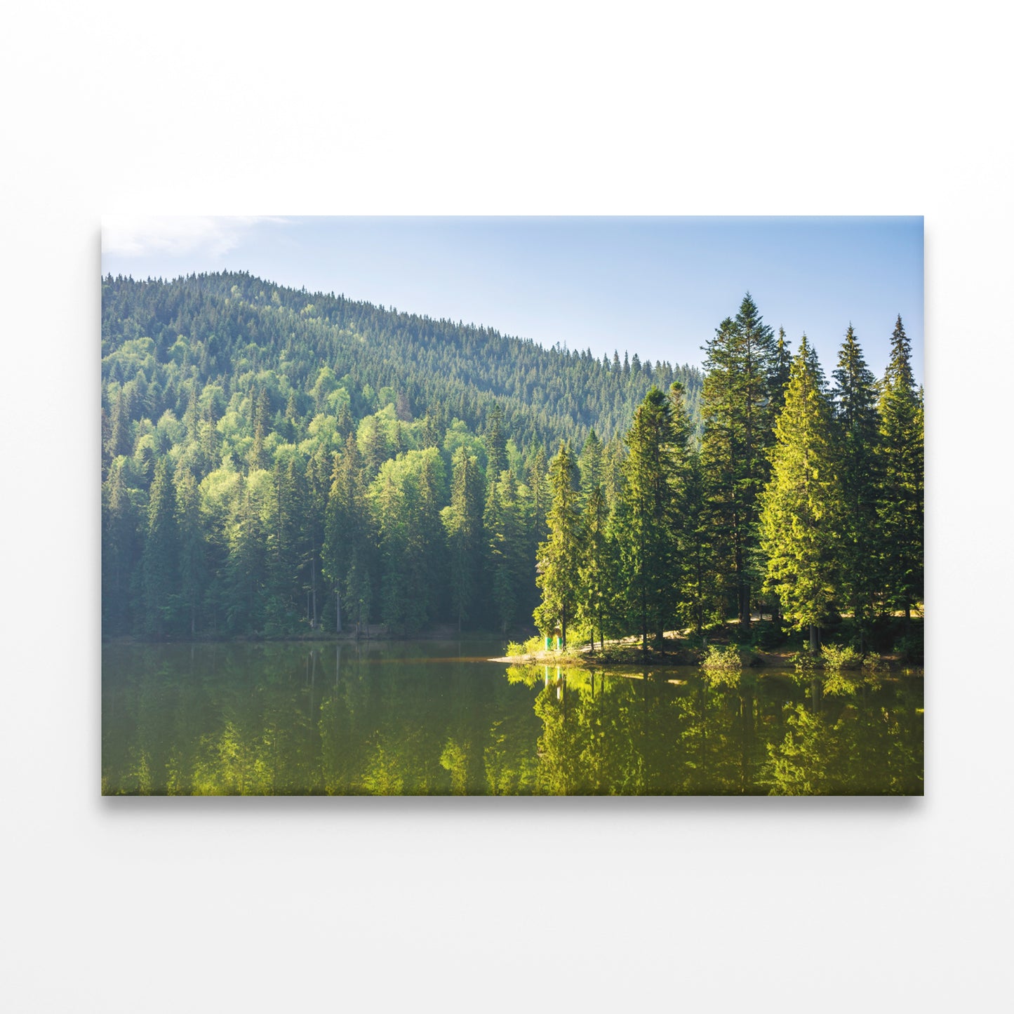 Synevyr Lake in Carpathian Nature Wall Art Decor 100% Australian Made