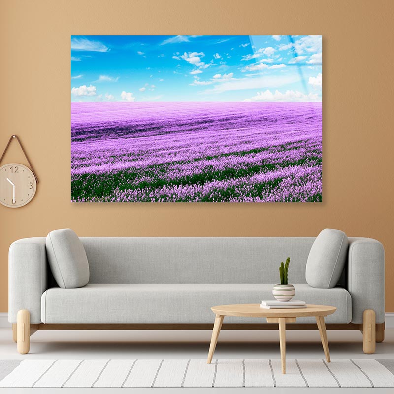 Spring Purple Flower Field Acrylic Glass Print Tempered Glass Wall Art 100% Made in Australia Ready to Hang