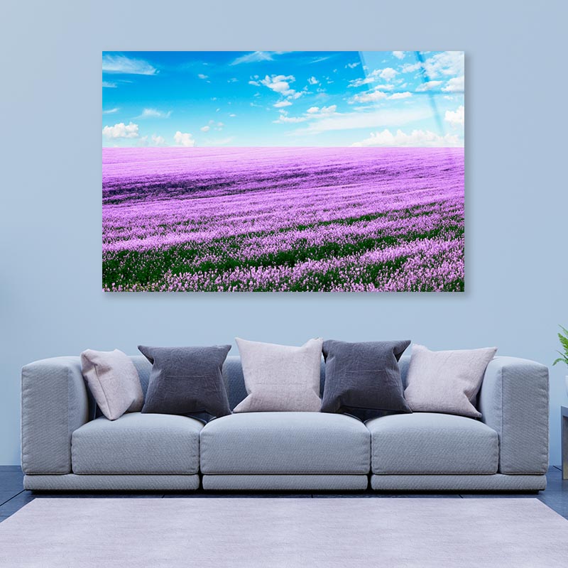 Spring Purple Flower Field Acrylic Glass Print Tempered Glass Wall Art 100% Made in Australia Ready to Hang