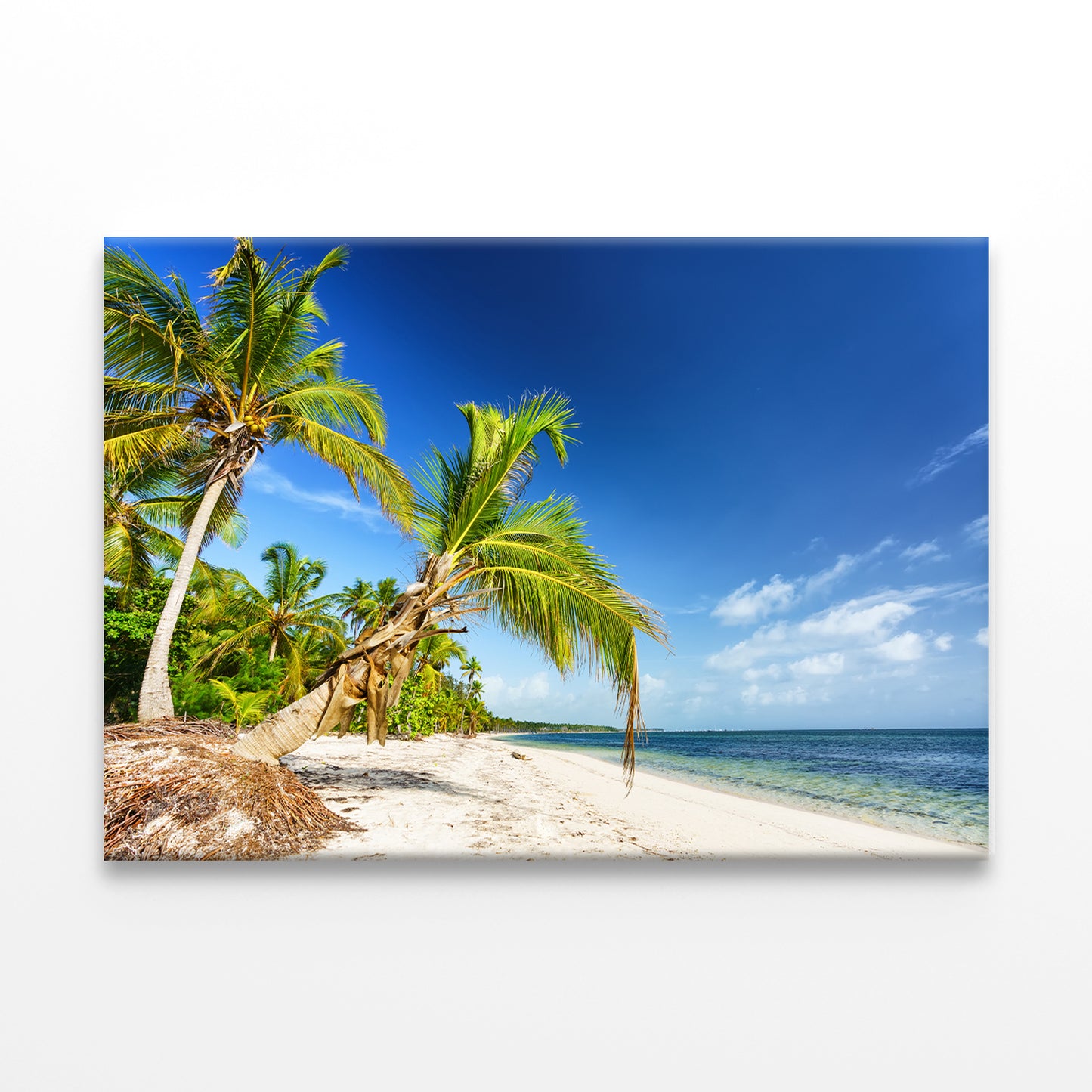 Palm Trees on Tropical Beach, DR Wall Art Decor 100% Australian Made