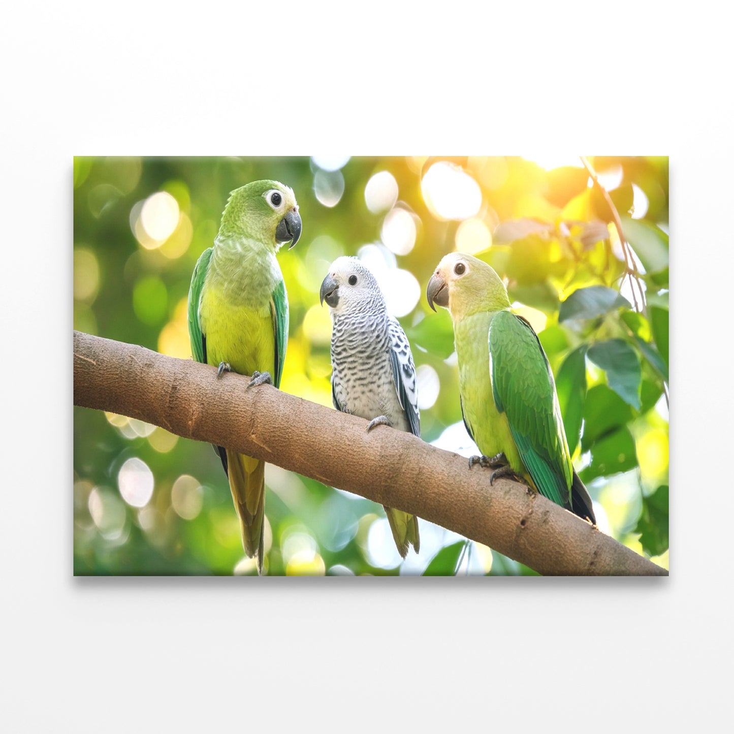 Three Vibrant Parrots on a Branch Wall Art Decor 100% Australian Made