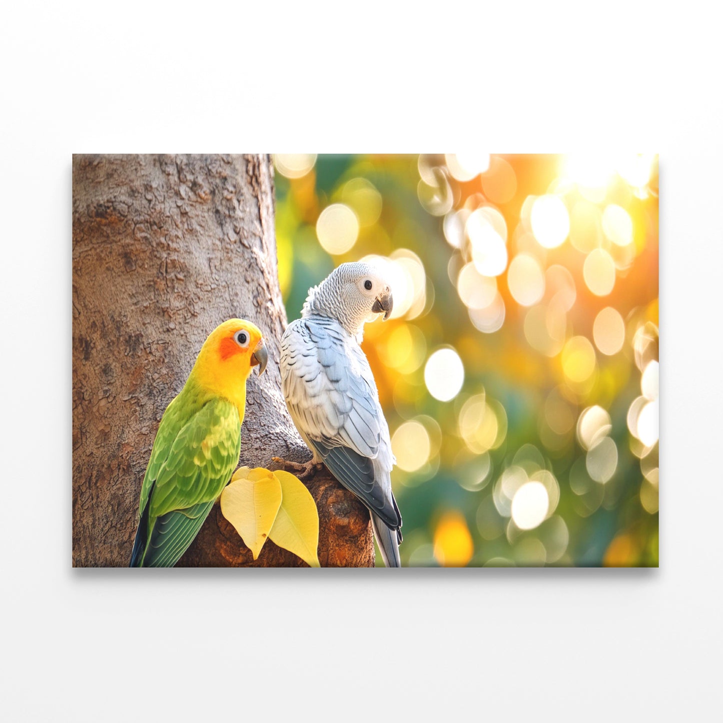 Sun Conure & African Grey Parrot Wall Art Decor 100% Australian Made