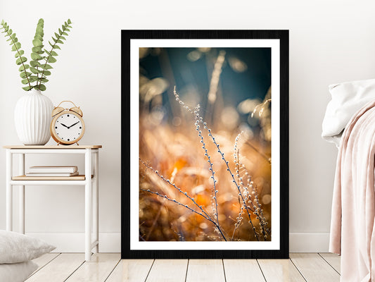 Blurred Autumn Golden Floral Glass Framed Wall Art, Ready to Hang Quality Print With White Border Black