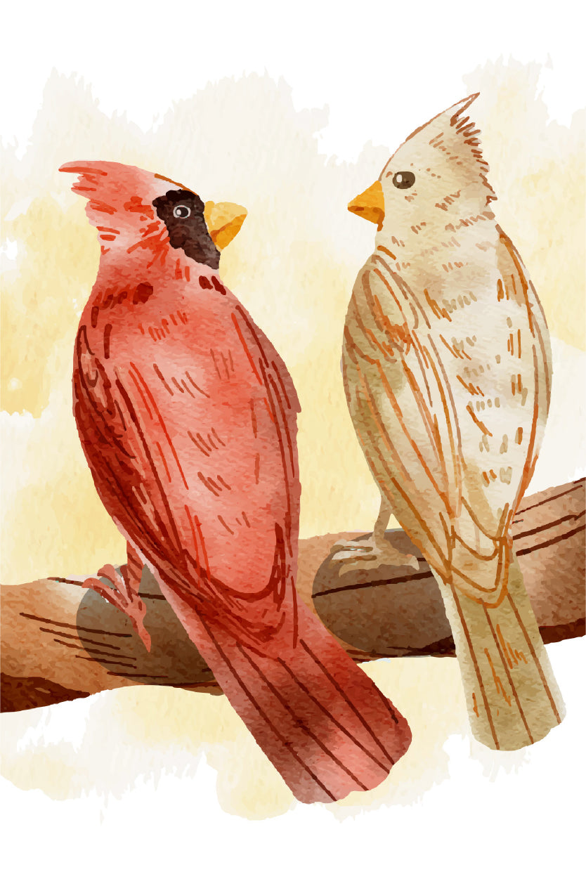 Red Cardinal Songbird Illustration 40x60cm Metal Print Ready to Hang