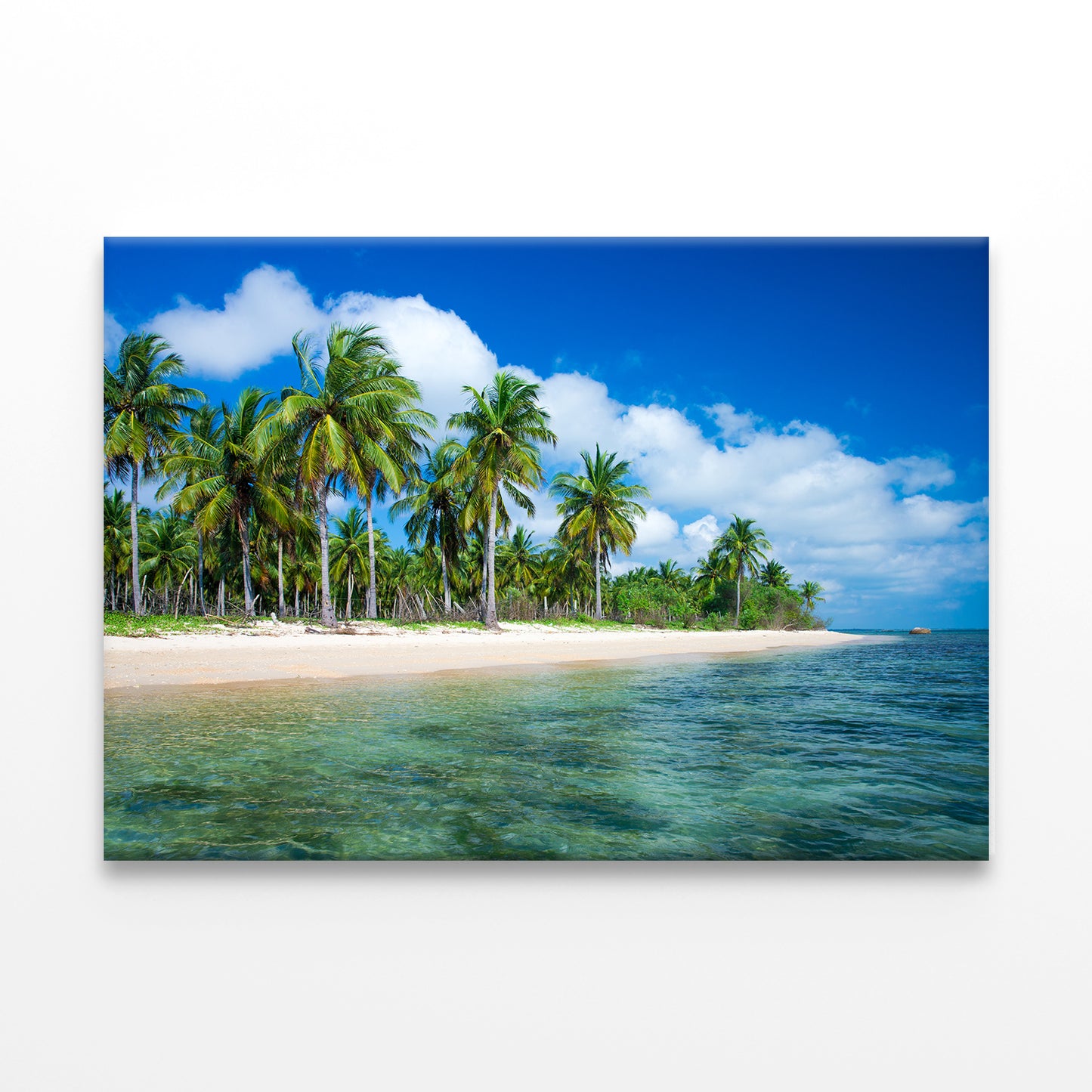 Tropical Beach in Sri Lanka Wall Art Decor 100% Australian Made