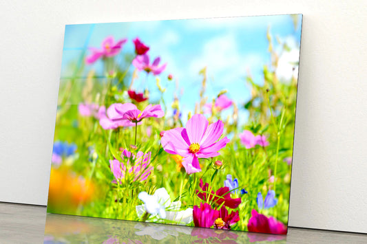 Purple Blumenwiese Sommerblumen Acrylic Glass Print Tempered Glass Wall Art 100% Made in Australia Ready to Hang