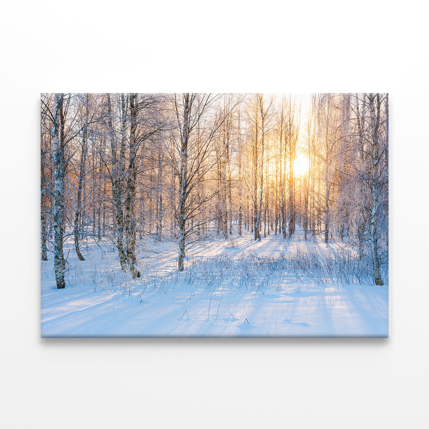 Sunlight in Snowy Swedish Forest Wall Art Decor 100% Australian Made