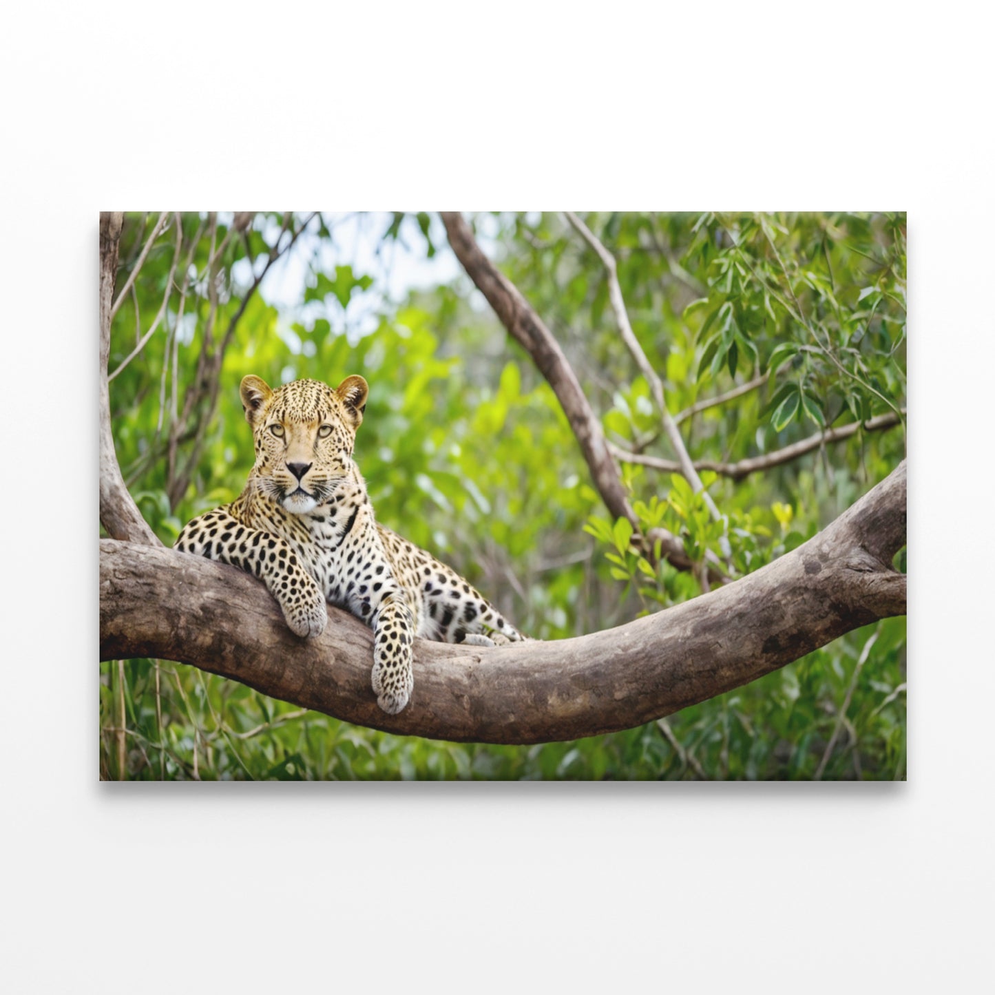 Sri Lankan Leopard in Yala Park Wall Art Decor 100% Australian Made