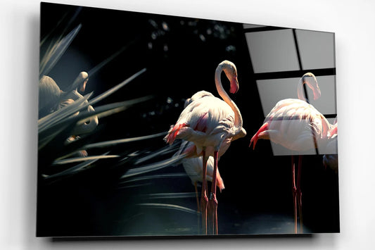 Flamingo Lake Acrylic Glass Print Tempered Glass Wall Art 100% Made in Australia Ready to Hang