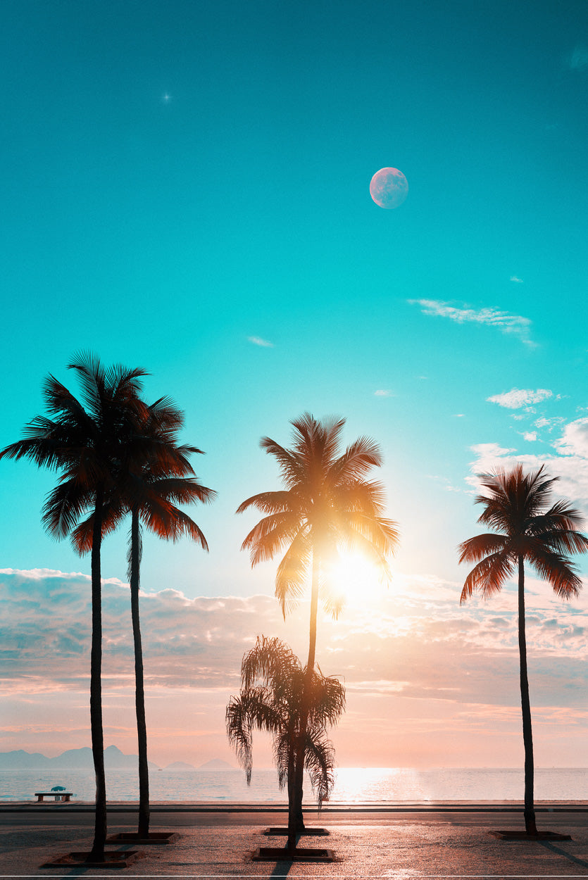 Blue Sky & Sunset Through Palm Trees Photograph Glass Framed Wall Art, Ready to Hang Quality Print