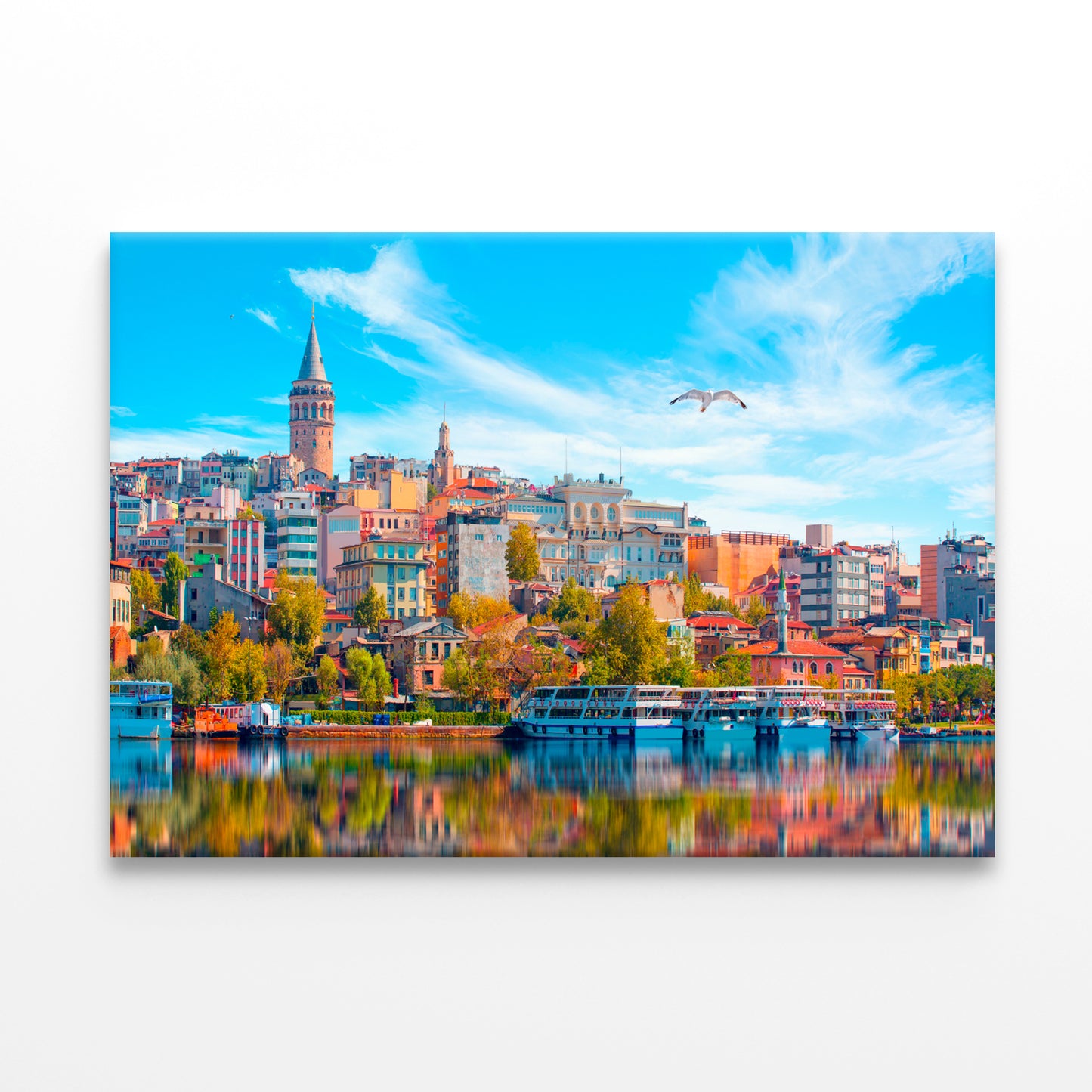 Galata Tower and Bridge, Istanbul Wall Art Decor 100% Australian Made