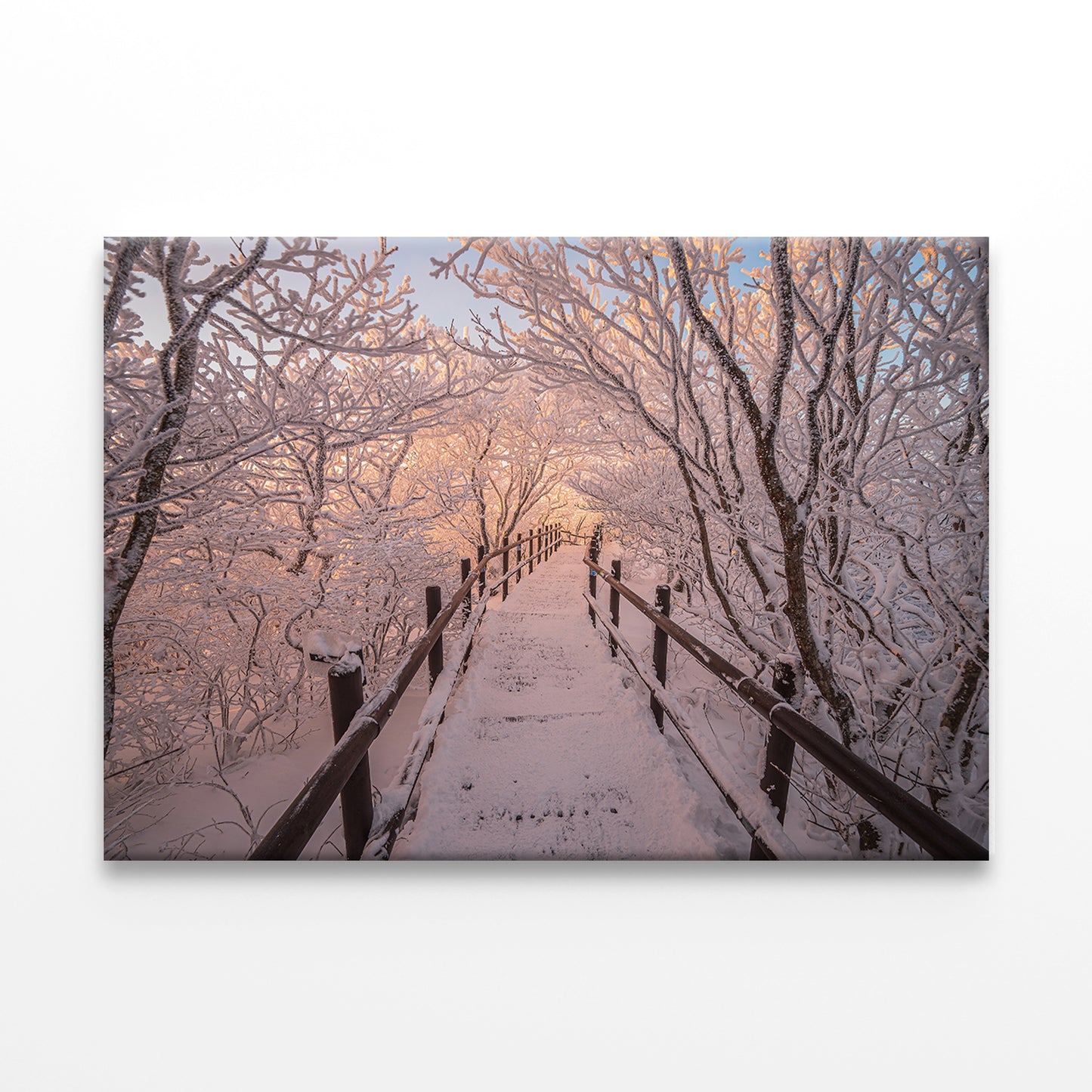 Winter scenery and snow clinging to the branches of the mountain peak Wall Art Decor 100% Australian Made