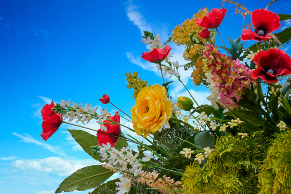 Bella Home Flower Bloom in The Garden 90x60cm Print 100% Australian Made - Bella Home Decor