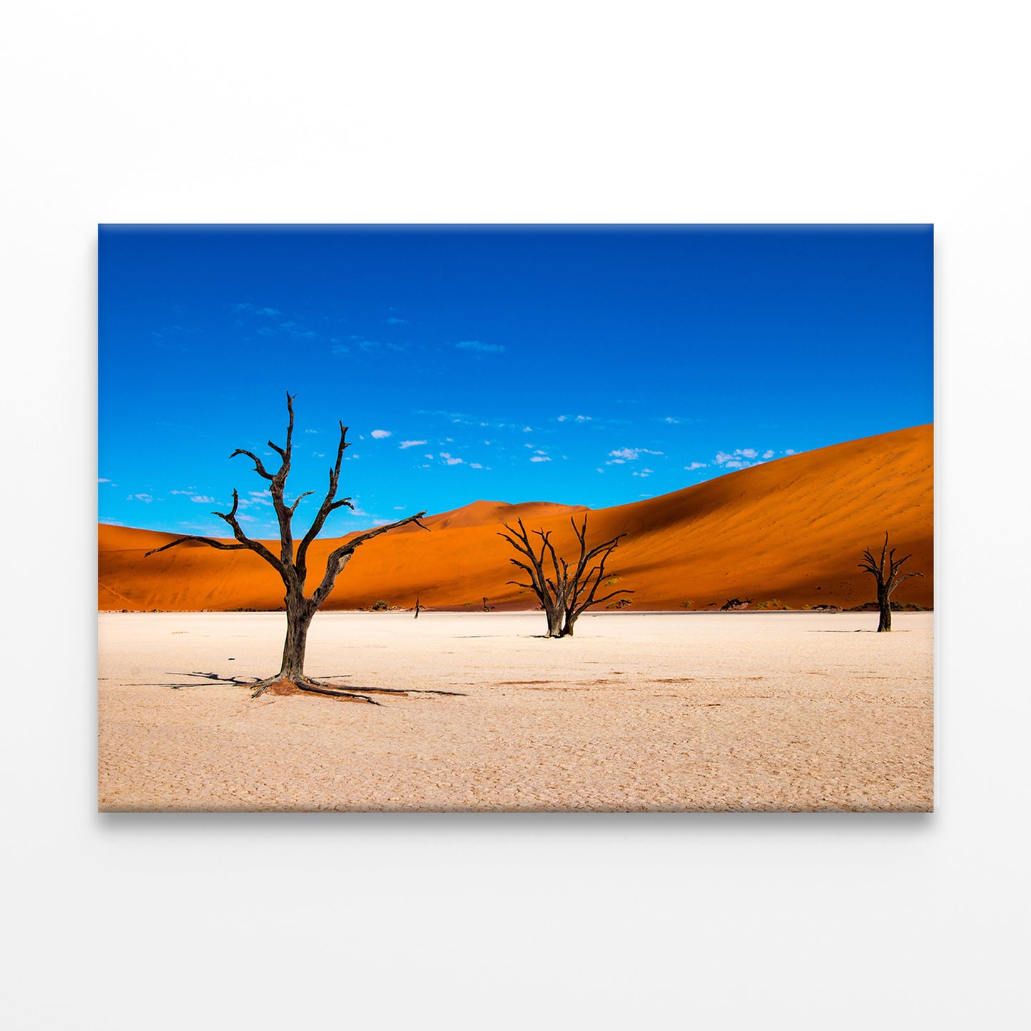 Deadvlei Clay Pan in Namibia Wall Art Decor 100% Australian Made